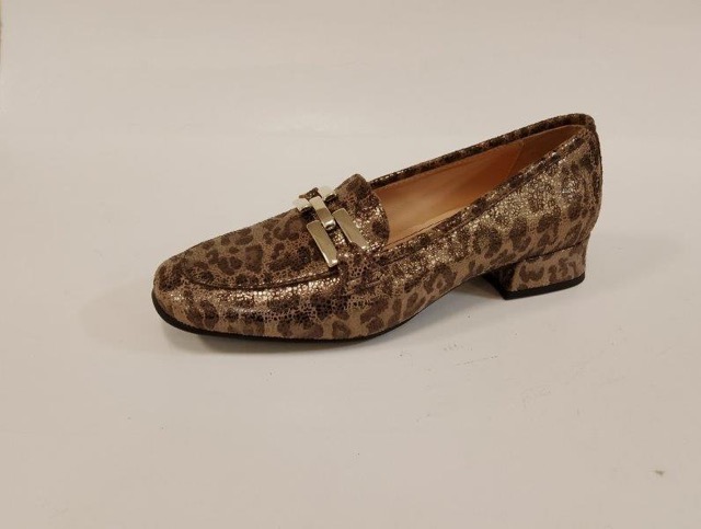 Z_945_LEOPARD_413_GOMMINA.jpg